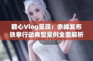 糖心Vlog呈现：赤峰发布铁拳行动典型案例全面解析与解读