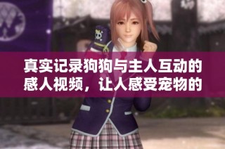 真实记录狗狗与主人互动的感人视频，让人感受宠物的温暖陪伴