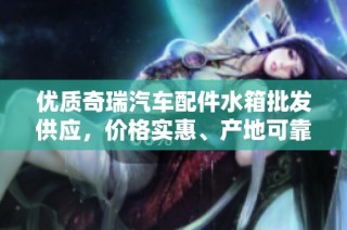 优质奇瑞汽车配件水箱批发供应，价格实惠、产地可靠