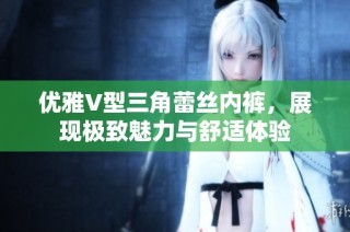 优雅V型三角蕾丝内裤，展现极致魅力与舒适体验