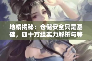 地精揭秘：仓储安全只是基础，四十万组实力解析与等级解读