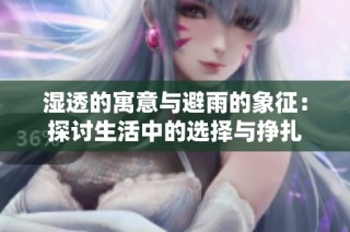 湿透的寓意与避雨的象征：探讨生活中的选择与挣扎