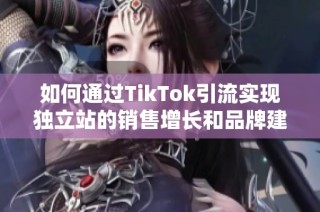 如何通过TikTok引流实现独立站的销售增长和品牌建设