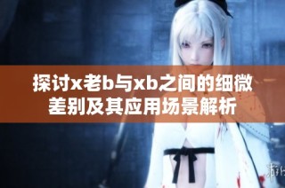 探讨x老b与xb之间的细微差别及其应用场景解析