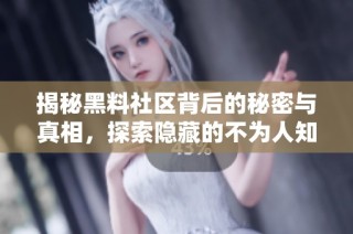 揭秘黑料社区背后的秘密与真相，探索隐藏的不为人知的故事