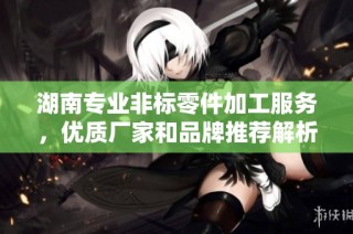湖南专业非标零件加工服务，优质厂家和品牌推荐解析