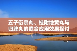 五子衍宗丸、桂附地黄丸与归脾丸的联合应用效果探讨