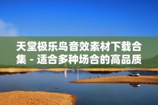 天堂极乐鸟音效素材下载合集 - 适合多种场合的高品质背景音乐配乐资源分享