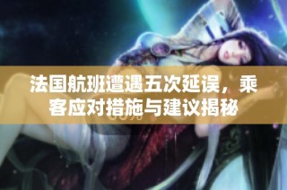 法国航班遭遇五次延误，乘客应对措施与建议揭秘