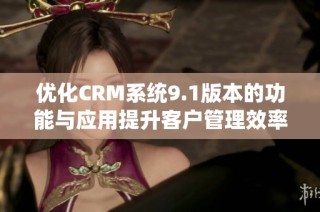 优化CRM系统9.1版本的功能与应用提升客户管理效率