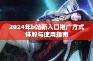 2024年b站新入口推广方式详解与使用指南