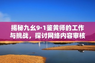 揭秘九幺9·1鉴黄师的工作与挑战，探讨网络内容审核的重要性