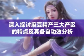 深入探讨麻豆精产三大产区的特点及其各自功效分析