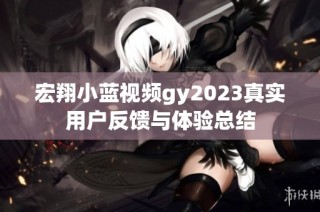宏翔小蓝视频gy2023真实用户反馈与体验总结