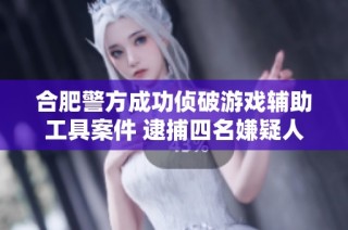 合肥警方成功侦破游戏辅助工具案件 逮捕四名嫌疑人