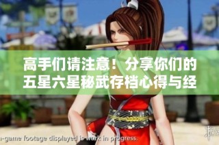高手们请注意！分享你们的五星六星秘武存档心得与经验吧！