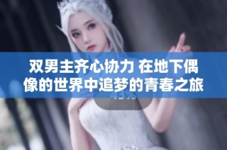 双男主齐心协力 在地下偶像的世界中追梦的青春之旅