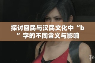 探讨回民与汉民文化中“b”字的不同含义与影响