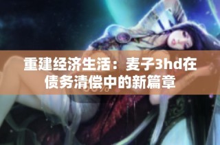 重建经济生活：麦子3hd在债务清偿中的新篇章