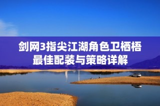 剑网3指尖江湖角色卫栖梧最佳配装与策略详解