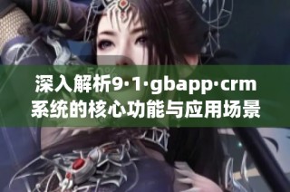 深入解析9·1·gbapp·crm系统的核心功能与应用场景