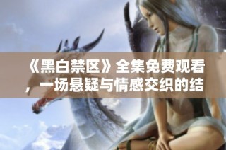 《黑白禁区》全集免费观看，一场悬疑与情感交织的结局揭晓