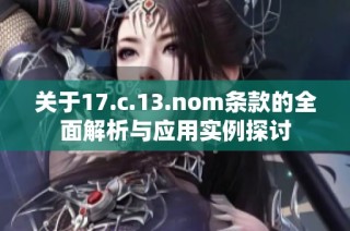 关于17.c.13.nom条款的全面解析与应用实例探讨