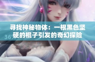 寻找神秘物体：一根黑色坚硬的棍子引发的奇幻探险