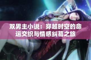 双男主小说：穿越时空的命运交织与情感纠葛之旅