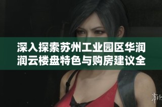 深入探索苏州工业园区华润润云楼盘特色与购房建议全攻略