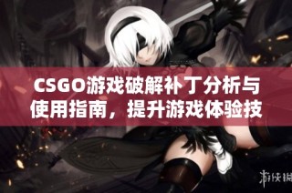 CSGO游戏破解补丁分析与使用指南，提升游戏体验技巧