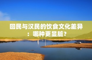 回民与汉民的饮食文化差异：哪种更显脏？