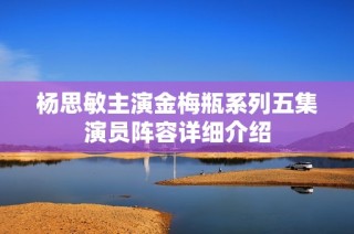 杨思敏主演金梅瓶系列五集演员阵容详细介绍