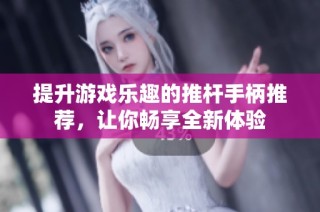 提升游戏乐趣的推杆手柄推荐，让你畅享全新体验