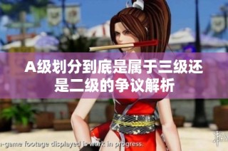 A级划分到底是属于三级还是二级的争议解析