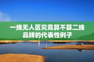 一线无人区究竟算不算二线品牌的代表性例子