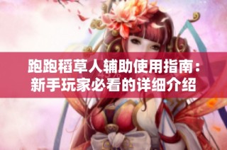 跑跑稻草人辅助使用指南：新手玩家必看的详细介绍