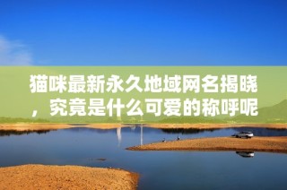 猫咪最新永久地域网名揭晓，究竟是什么可爱的称呼呢