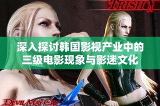 深入探讨韩国影视产业中的三级电影现象与影迷文化