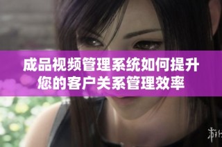 成品视频管理系统如何提升您的客户关系管理效率