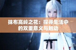 抹布高岭之花：探寻生活中的双重意义与触动