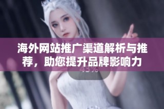 海外网站推广渠道解析与推荐，助您提升品牌影响力