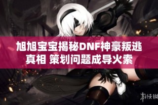 旭旭宝宝揭秘DNF神豪叛逃真相 策划问题成导火索