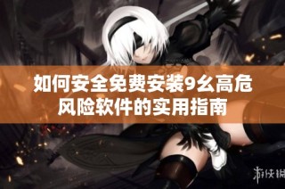 如何安全免费安装9幺高危风险软件的实用指南