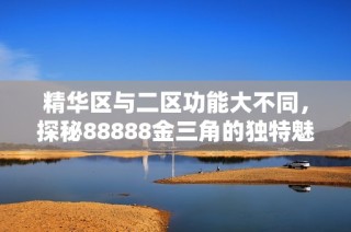 精华区与二区功能大不同，探秘88888金三角的独特魅力