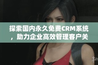 探索国内永久免费CRM系统，助力企业高效管理客户关系