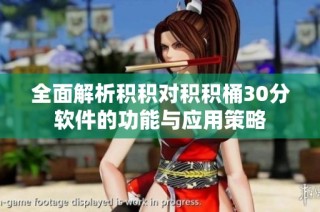 全面解析积积对积积桶30分软件的功能与应用策略