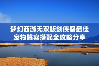 梦幻西游无双版剑侠客最佳宠物阵容搭配全攻略分享