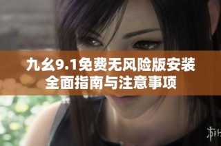 九幺9.1免费无风险版安装全面指南与注意事项