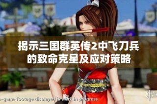 揭示三国群英传2中飞刀兵的致命克星及应对策略